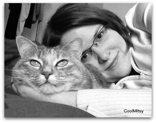 Read more about the article CoolMitsy: Catify your Life!