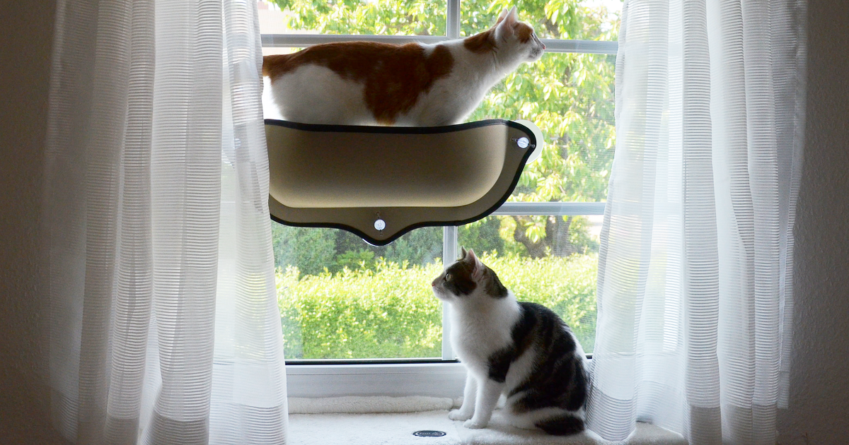 Window Cat Bed | Mount Window Bed Kitty Sill von K&H Manufacturing