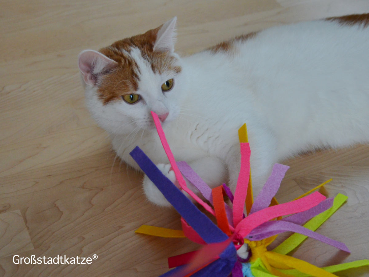DIY Katzenspielzeug | DIY Spinne | Hack Katzenspielzeug Spinne
