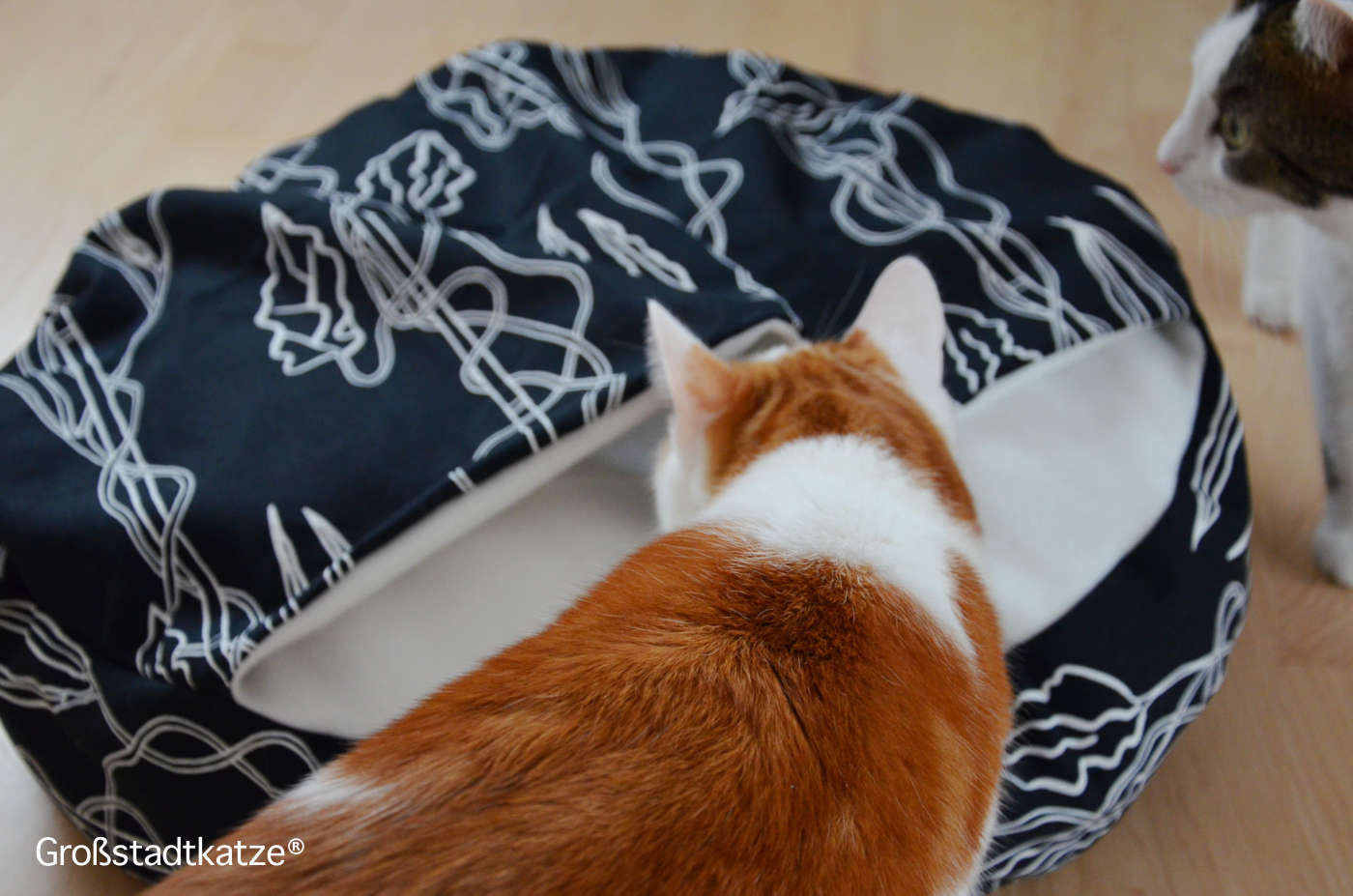 Katzen Lifehack Kissenbett mit Decke | DIY Katze Bettchen nähen