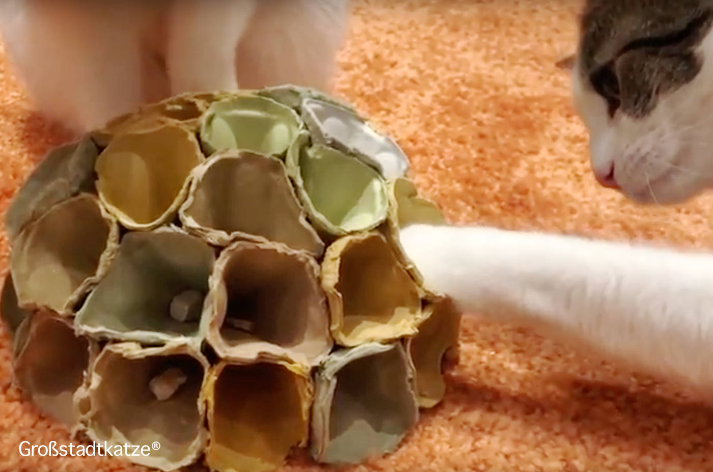 Lifehack: Fummelspiel aus Eierverpackungen | DIY Katze | DIY Cat