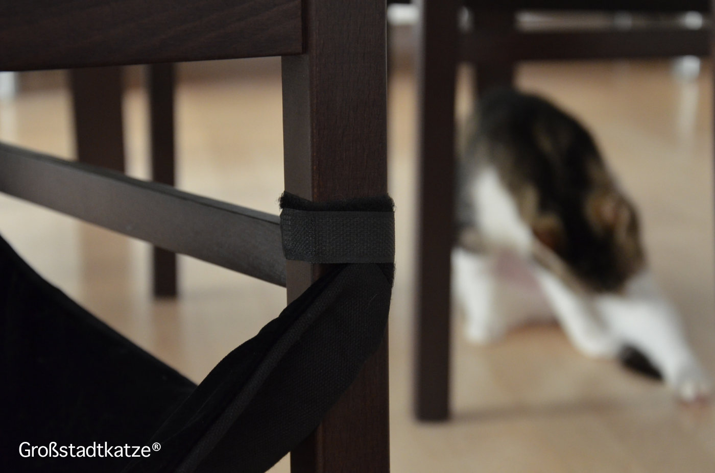 Hängematte Stuhl Katze | Stuhlhängematte | Katzenhängematte