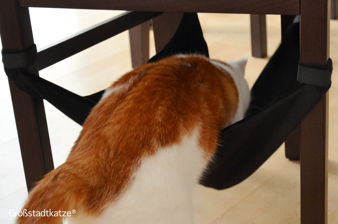 Hängematte Stuhl Katze | Stuhlhängematte | Katzenhängematte