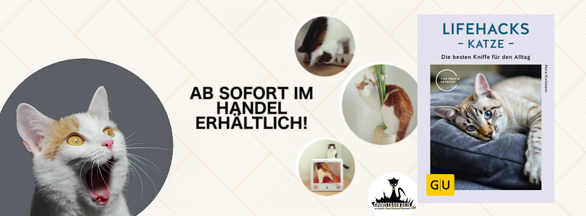 Katze hat Zahnfleischentzündung | Zähne ziehen Katze | FORL Katze