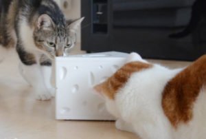 Read more about the article PetSafe FroliCat Katzenspielzeug Cheese