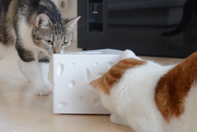 PetSafe FroliCat Katzenspielzeug Cheese