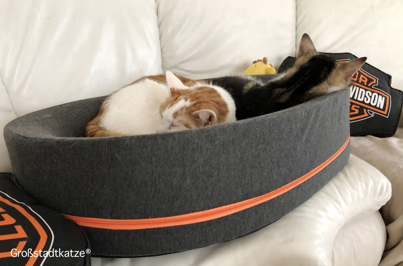 TRIXIE Bett Tamio | Großes Bett für Katzen | TRIXIE Katzenbett