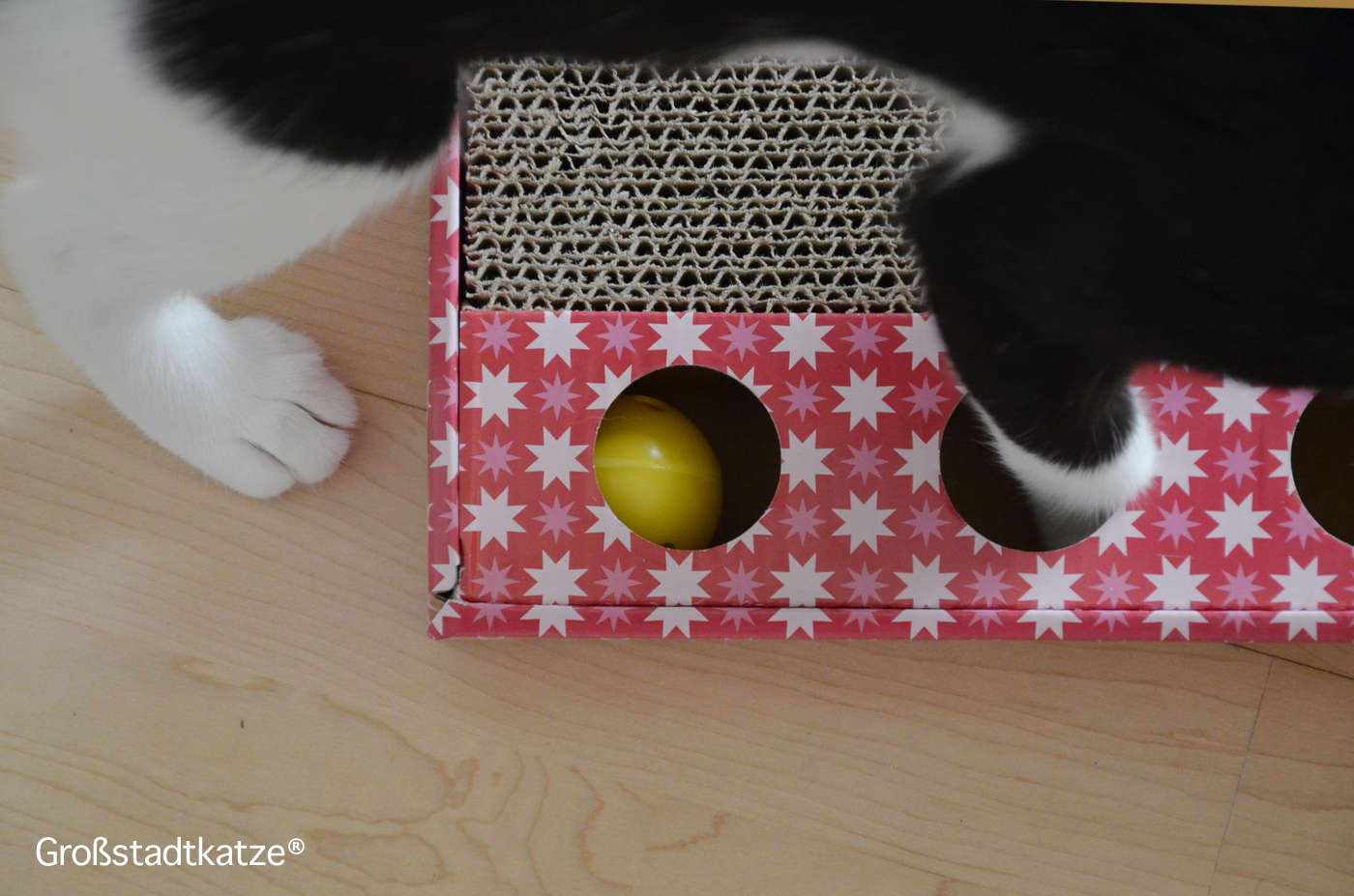 Katzenspielzeug Kratzpappe mit Ball von TRIXIE | Pappspielzeug Katzen