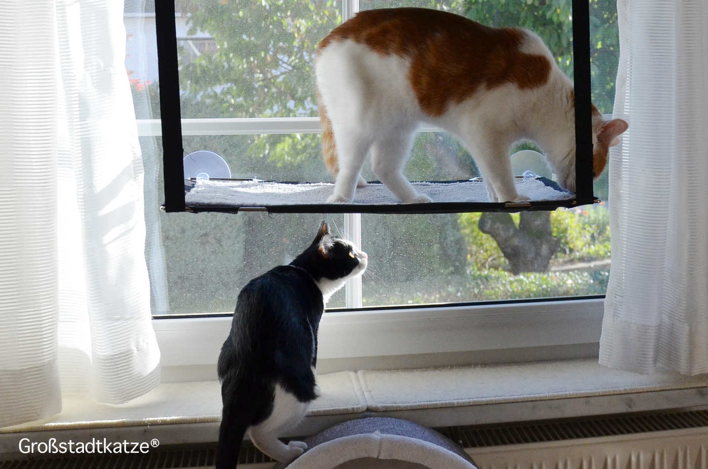 Fensterliege Katzen | Hängematte Fenster Doppel | Katzenliege Fenster