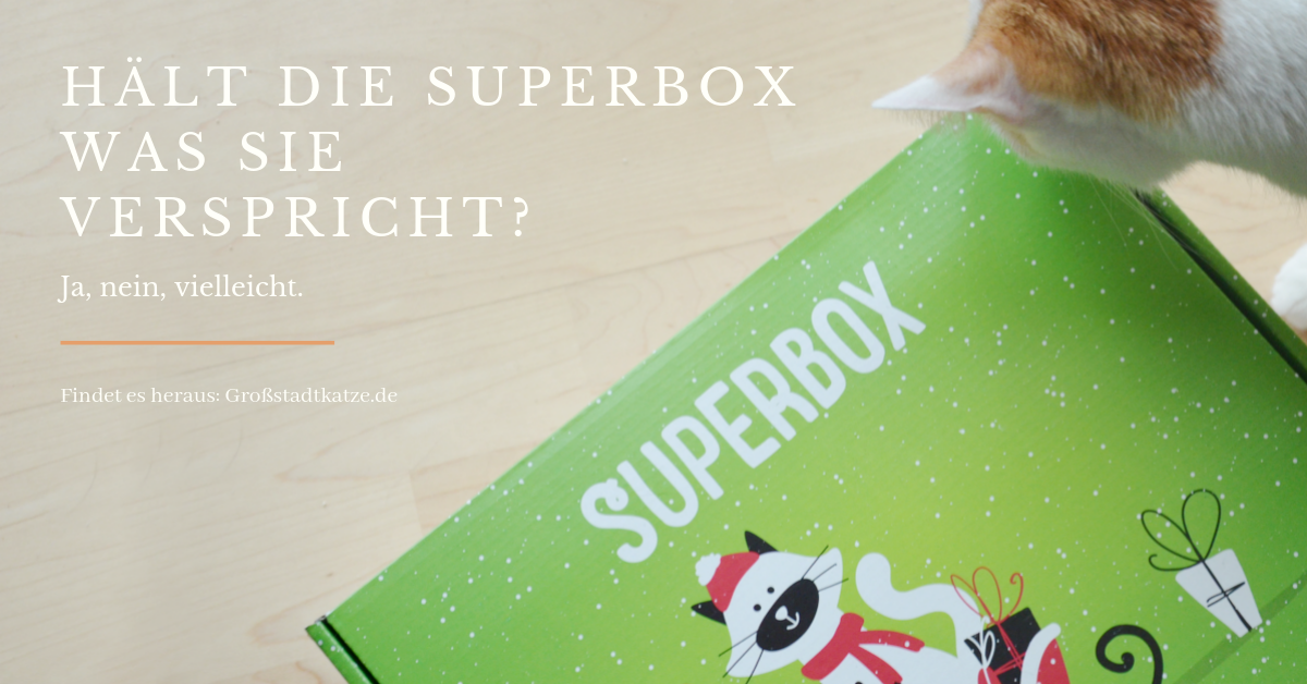 zooplus Winter Superbox Katze | Premiumfutter? | Inhalt Superbox zooplus