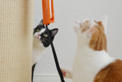 Katzenspielzeug Fling-Ama-String™