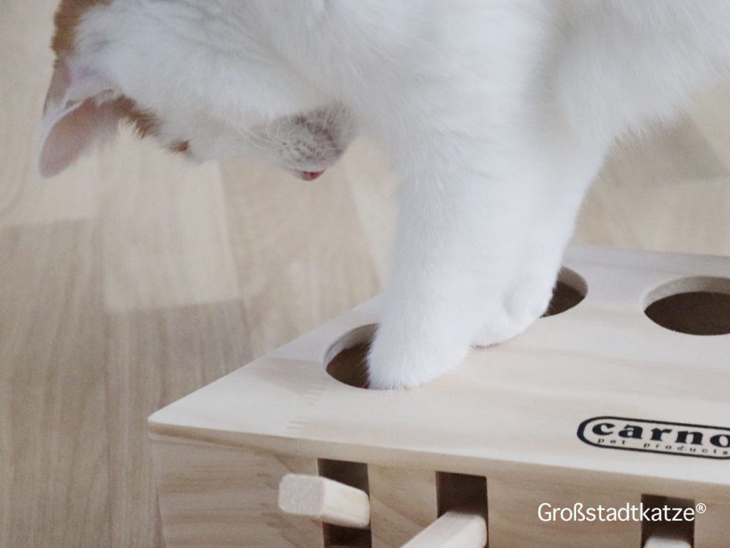 Andiker Interaktives Katzenspielzeug - Oktopus-Plüsch Mit Knisterpapier Zum Kratzen & Kauen (2 Farben)