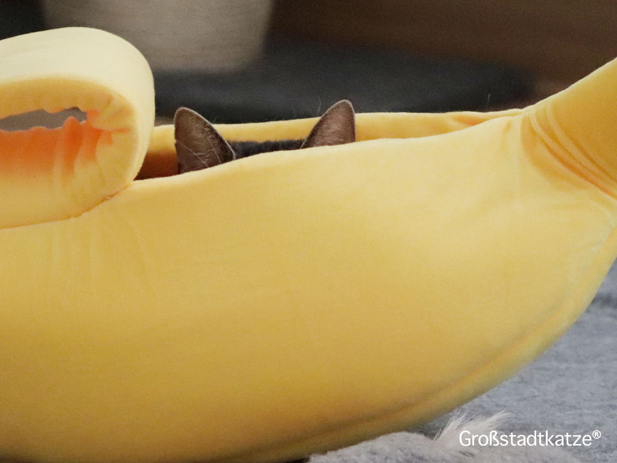 Alles Banane!? | Witzige Katzenbettchen | Bananen-Bett für Katzen