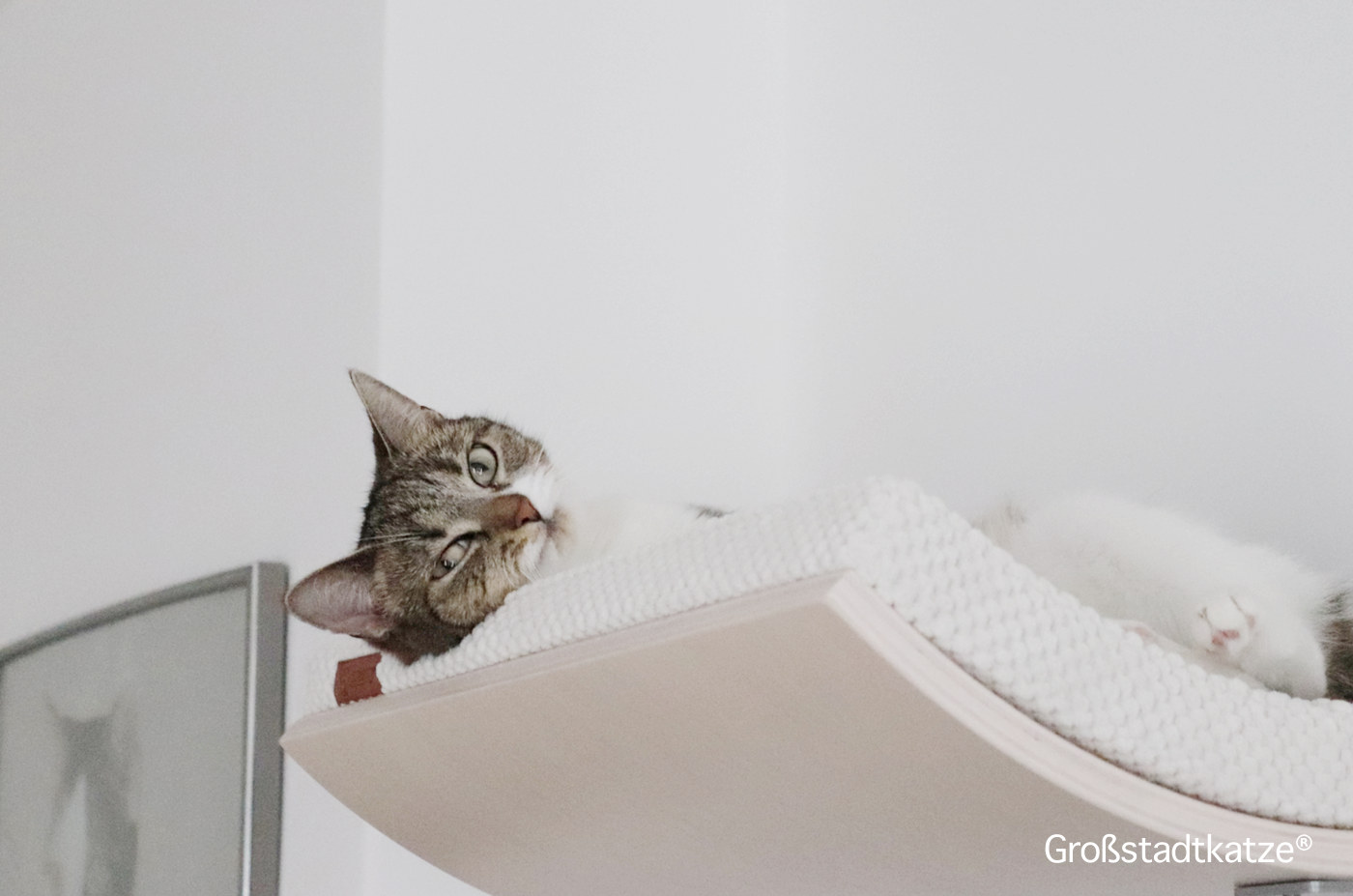 COSY AND DOZY Wandliege | Katzenlige für die Wand | Wandliege