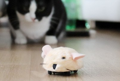 Fang die Micro Mouse