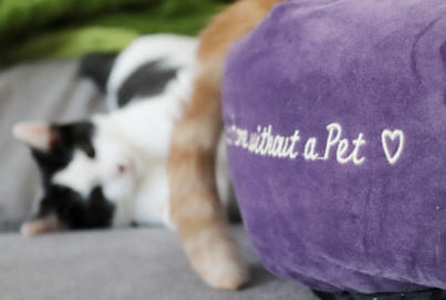 TRIXIE Bett Pet's Home | TRIXIE Kuschelhöhle Kaline | Kuschelbett Katze