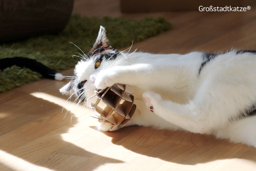 DIY Katzenspielzeug Pappe | Ball Pappe Lifehack | Spielball Katzen