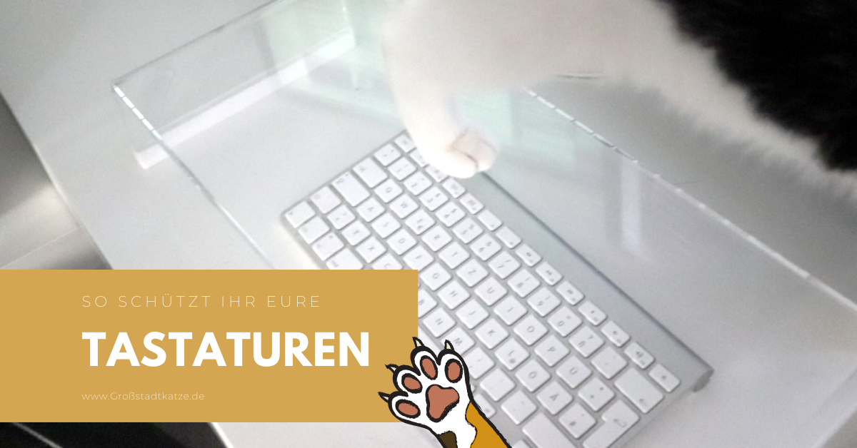 Katze Tastaur | Schutz Tastatur Katze | Katzen und Tastaturen