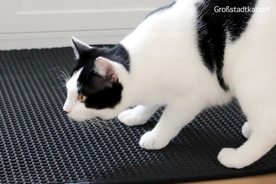 Rutschfeste Katzenklo Matte nach Maß | Vorleger Katzentoilette nach Maß