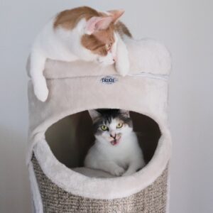 Mehr über den Artikel erfahren TRIXIE Kratztonne Gracia