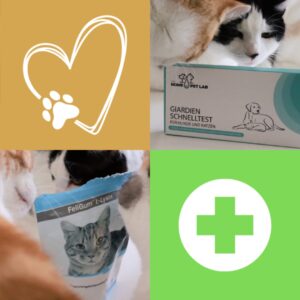 Mehr über den Artikel erfahren Katzen(Notfall-)Apotheke