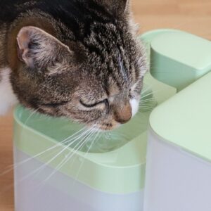 Mehr über den Artikel erfahren KLYQA Welly – Smarter Katzen Trinkbrunnen
